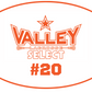 Valley Select Lacrosse 3"x 5" Oval Magnet